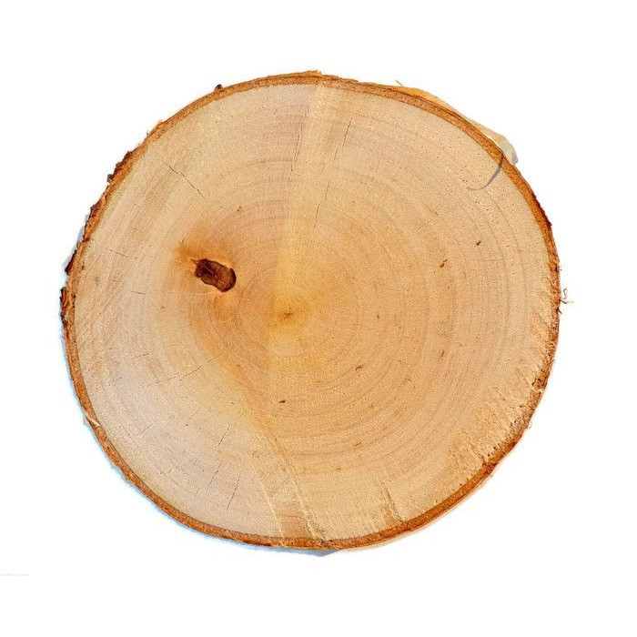 Lastra di legno di betulla levigata 3-5cm 2cm megamix.sk
